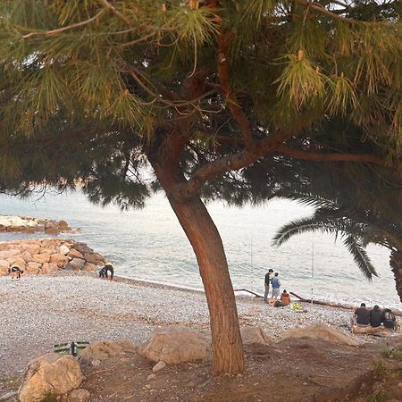 Le Nid Blanc Nice Centre Dış mekan fotoğraf