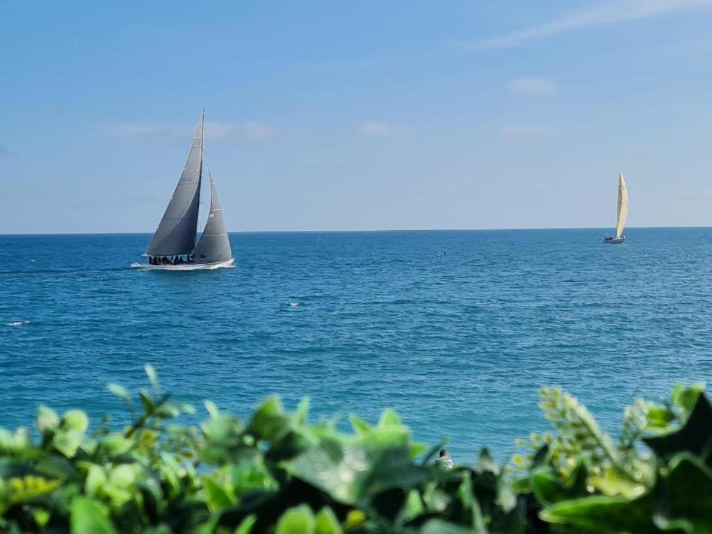 Le Nid Blanc Nice Centre Dış mekan fotoğraf